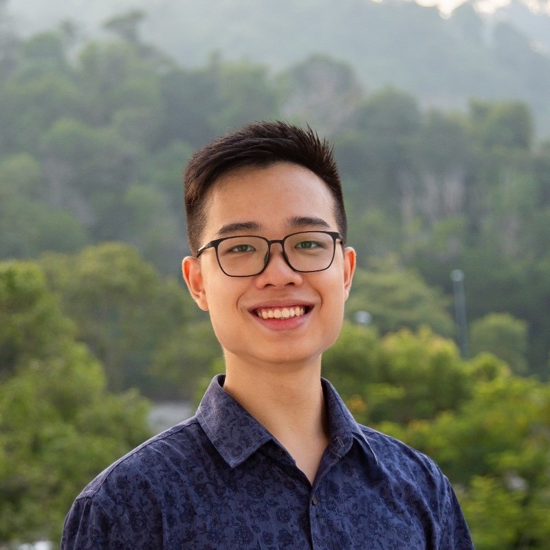 Mr. David Chew Hong Liang